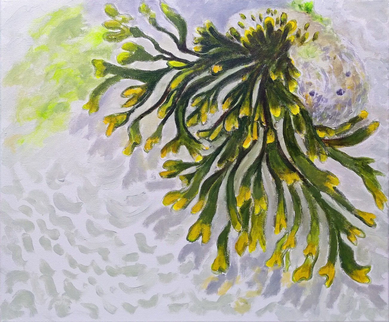 Deborah Crofts Seaweed 02