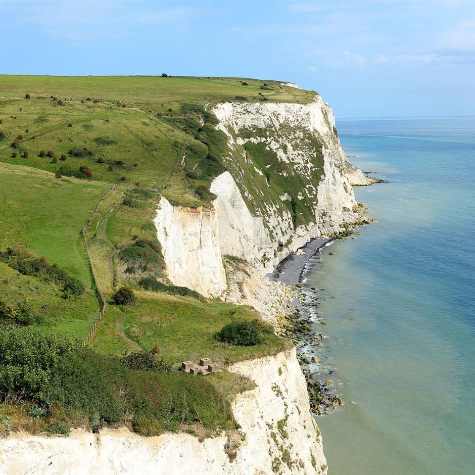 SALT + EARTH: Folklore and Medicinal Uses of Chalk Downland Plants